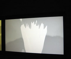 art lovers photo