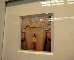 art lovers photo