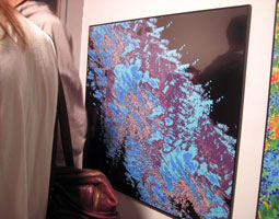 art lovers photo