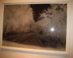 art lovers photo