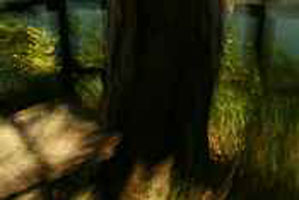 art lovers photo