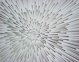 art lovers photo