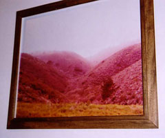 art lovers photo