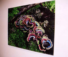 art lovers photo
