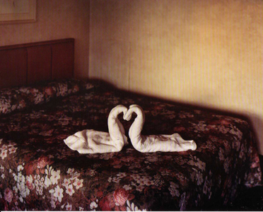 art lovers photo