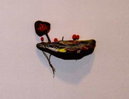art lovers photo