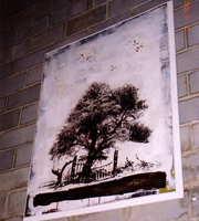 art lovers photo