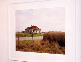 art lovers photo