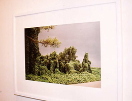 art lovers photo