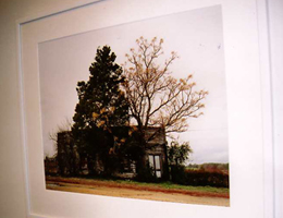 art lovers photo
