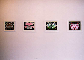 art lovers photo