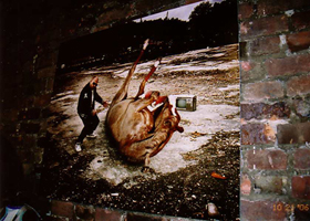 art lovers photo