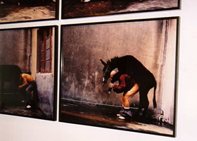 art lovers photo