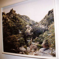 art lovers photo