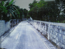 art lovers photo