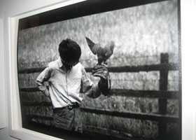 art lovers photo