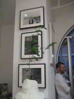art lovers photo