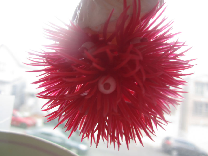 dteial-red-plastic-vintage-christmas-santa-ornament